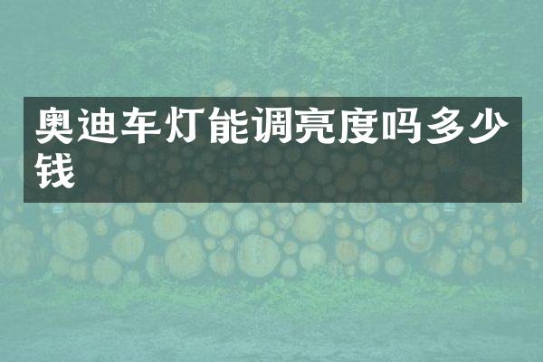 奥迪车灯能调亮度吗多少钱