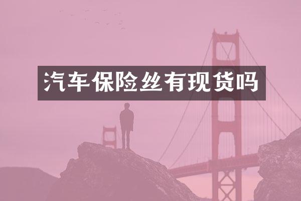 汽车保险丝有现货吗