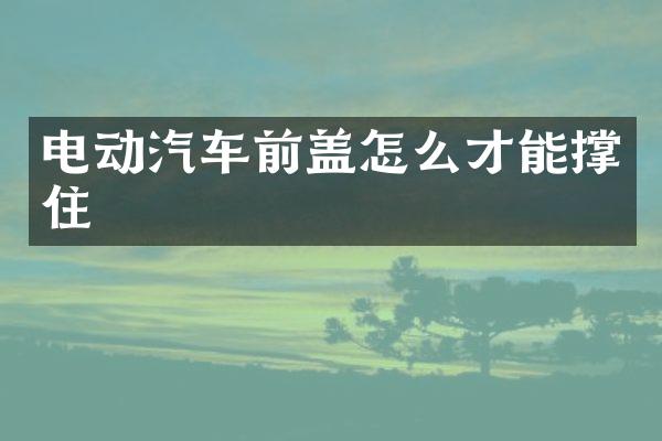 电动汽车前盖怎么才能撑住