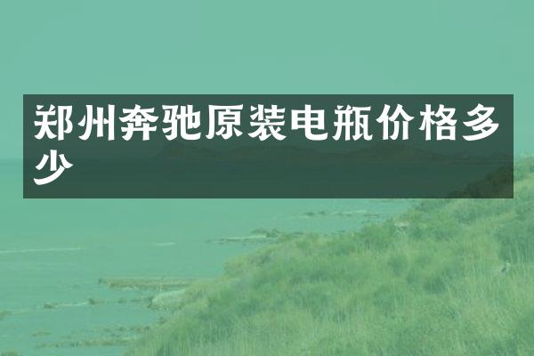 郑州奔驰原装电瓶价格多少