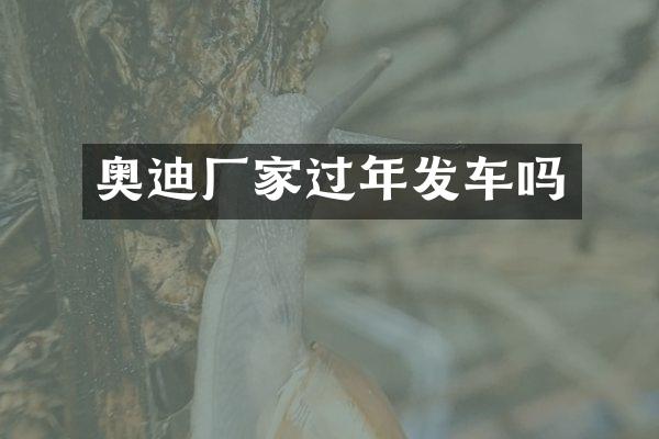 奥迪厂家过年发车吗