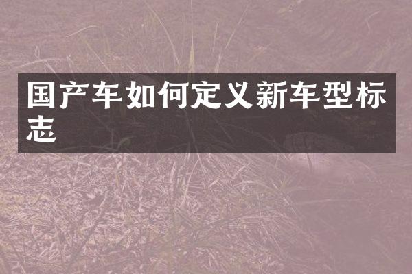 国产车如何定义新车型标志