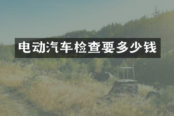 电动汽车检查要多少钱