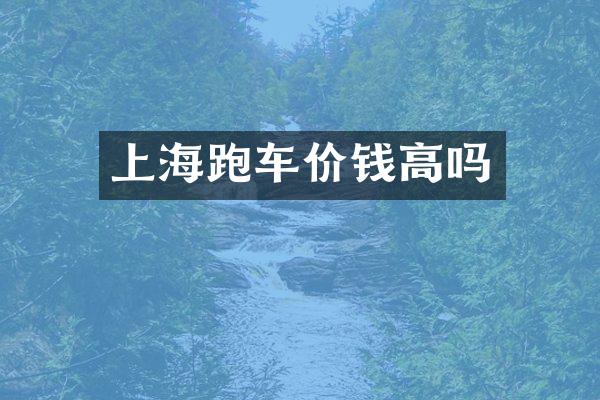 上海跑车价钱高吗