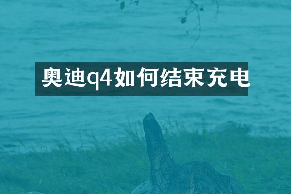 奥迪q4如何结束充电