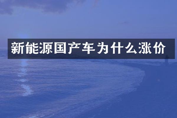 新能源国产车为什么涨价