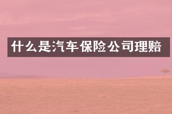 什么是汽车保险公司理赔