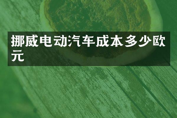 挪威电动汽车成本多少欧元