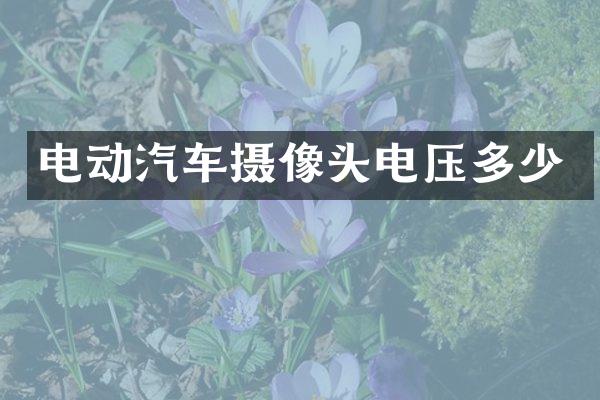 电动汽车摄像头电压多少