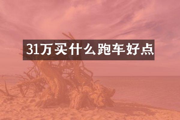 31万跑车好点