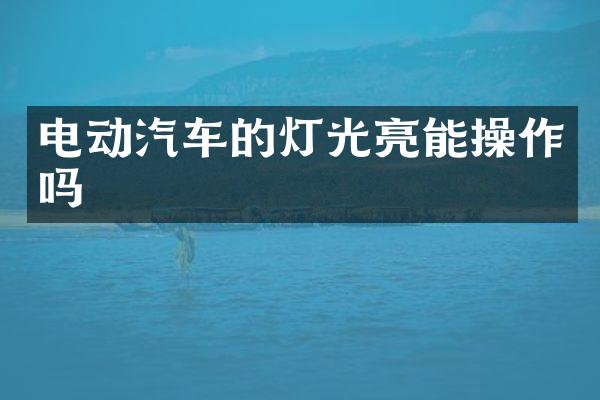 电动汽车的灯光亮能操作吗