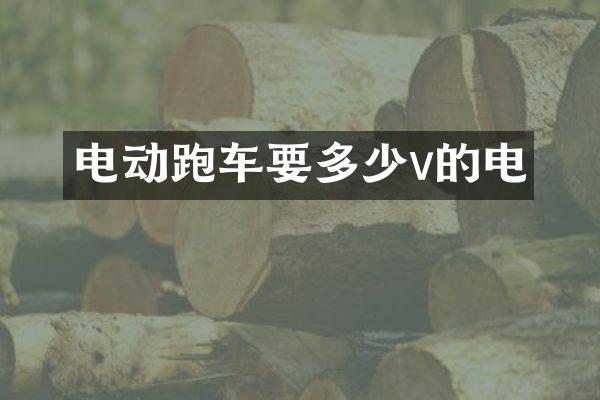 电动跑车要多少v的电