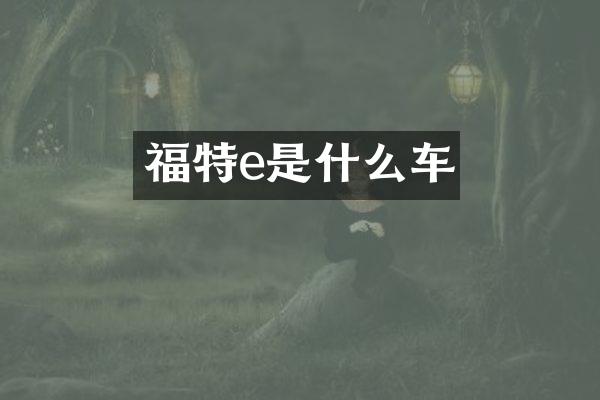 福特e是什么车