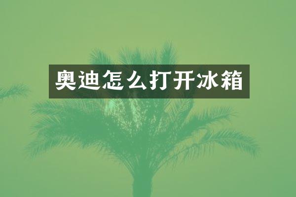 奥迪怎么打开冰箱