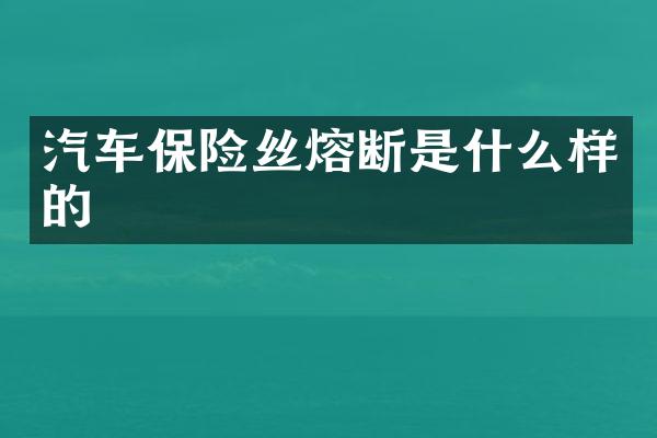 汽车保险丝熔断是什么样的