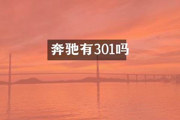奔驰有301吗