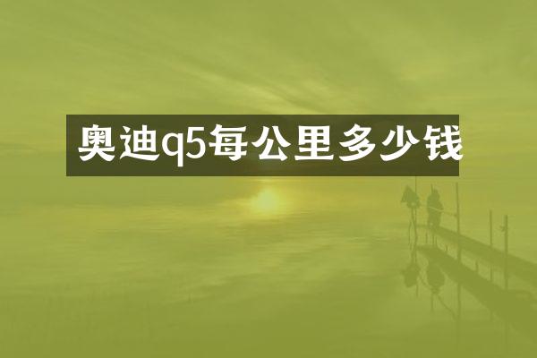 奥迪q5每公里多少钱