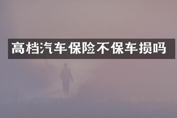 高档汽车保险不保车损吗