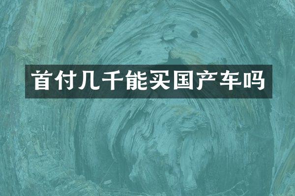 首付几千能买国产车吗