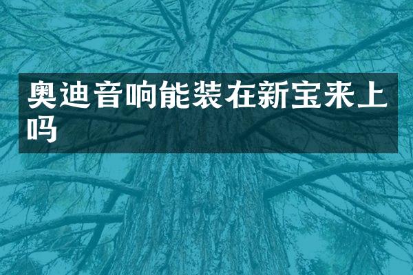 奥迪音响能装在新宝来上吗