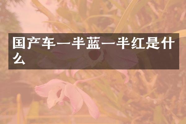 国产车一半蓝一半红是什么