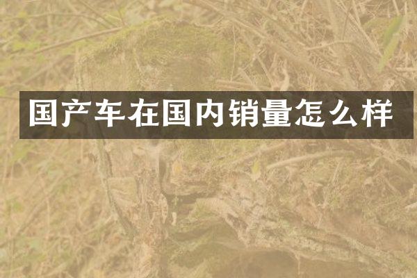 国产车在国内销量怎么样