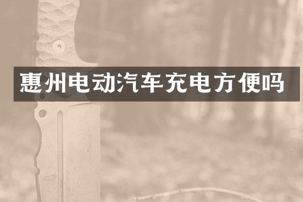 惠州电动汽车充电方便吗