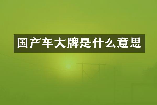 国产车大牌是什么意思