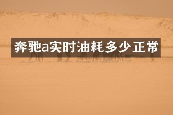 奔驰a实时油耗多少正常