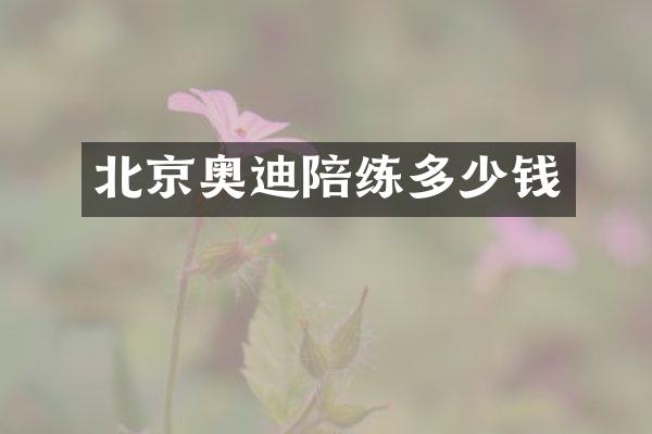 北京奥迪陪练多少钱