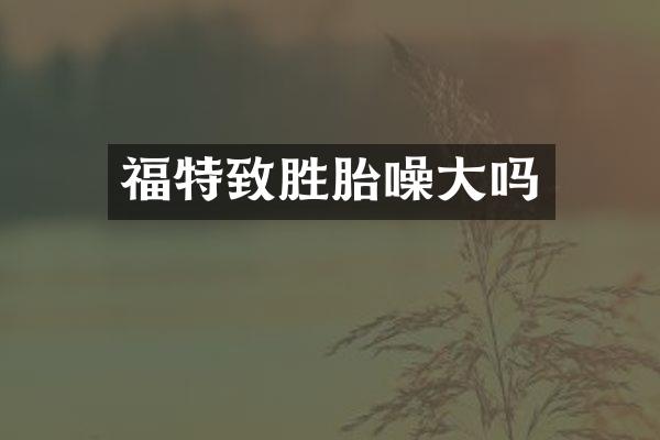 福特致胜胎噪大吗
