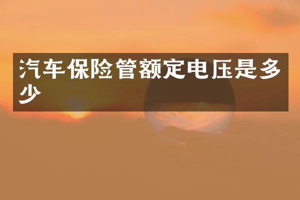 汽车保险管额定电压是多少