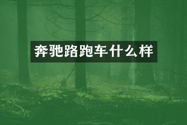 奔驰路跑车什么样