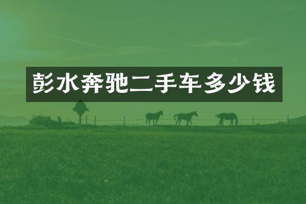 彭水奔驰二手车多少钱