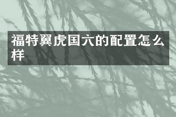 福特翼虎国六的配置怎么样