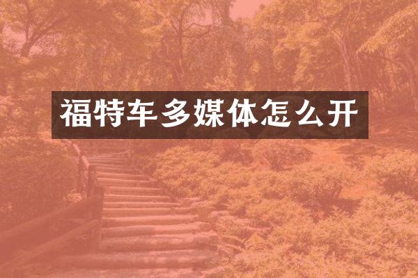 福特车多媒体怎么开
