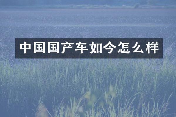 中国国产车如今怎么样