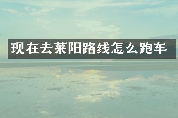 现在去莱阳路线怎么跑车