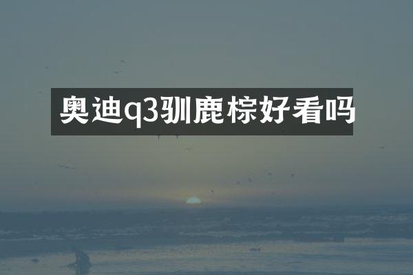 奥迪q3驯鹿棕好看吗