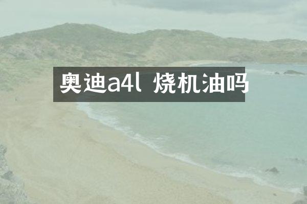 奥迪a4l 烧机油吗