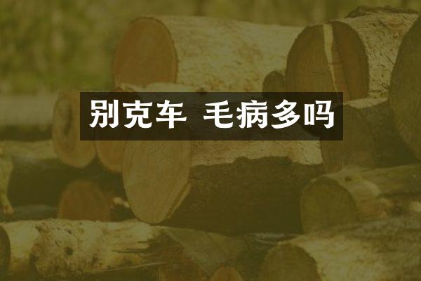 别克车 毛病多吗
