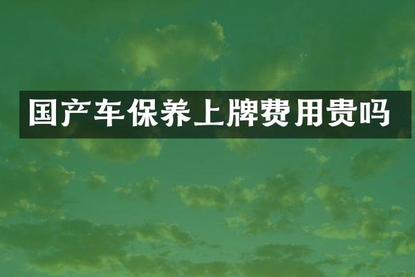 国产车保养上牌费用贵吗