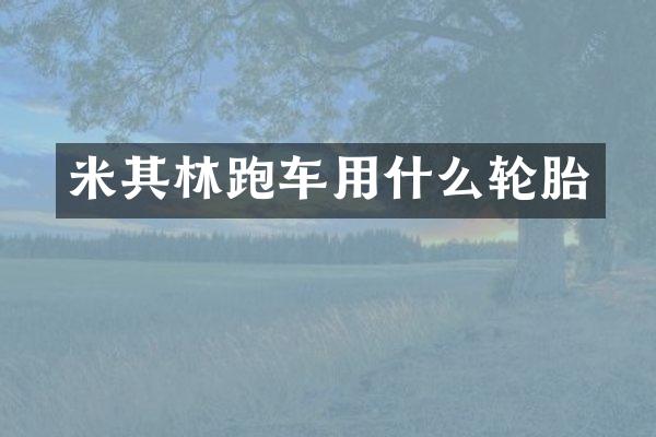 米其林跑车用什么轮胎