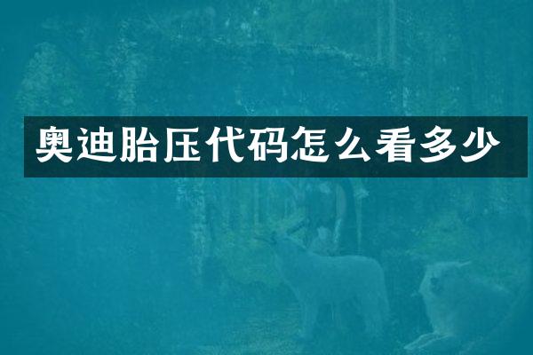 奥迪胎压代码怎么看多少