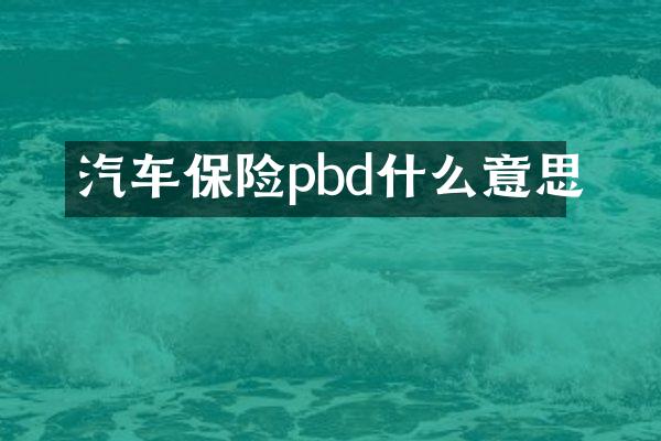 汽车保险pbd什么意思