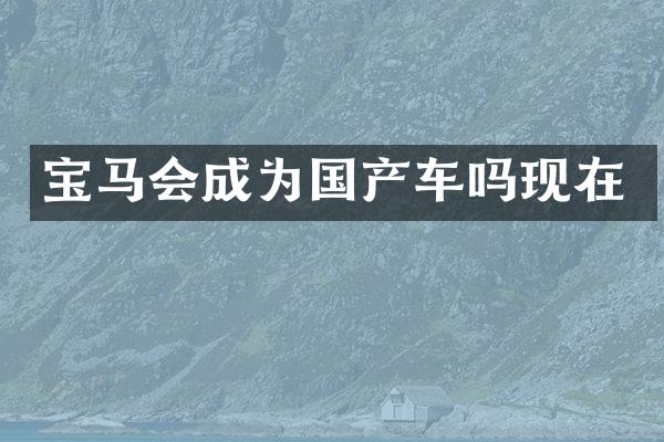 宝成为国产车吗现在