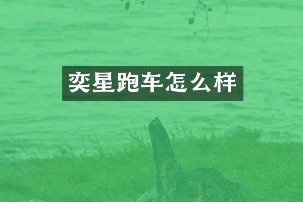 奕星跑车怎么样