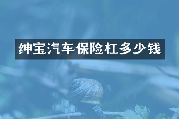 绅宝汽车保险杠多少钱
