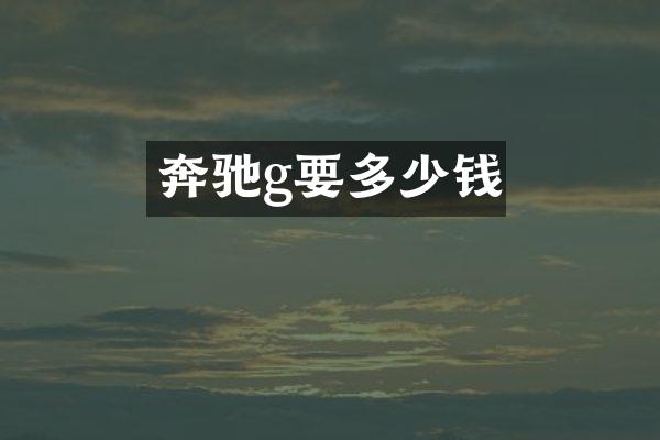 奔驰g要多少钱