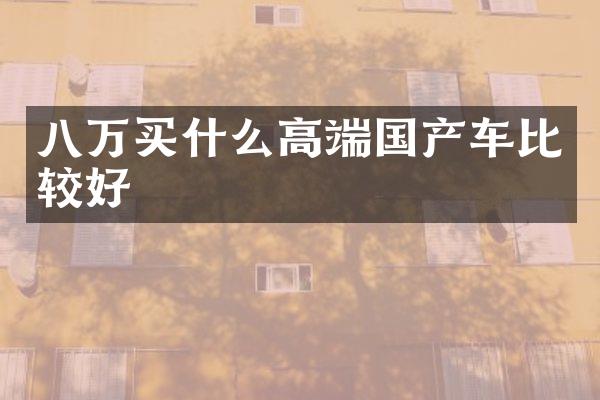 八万高端国产车比较好